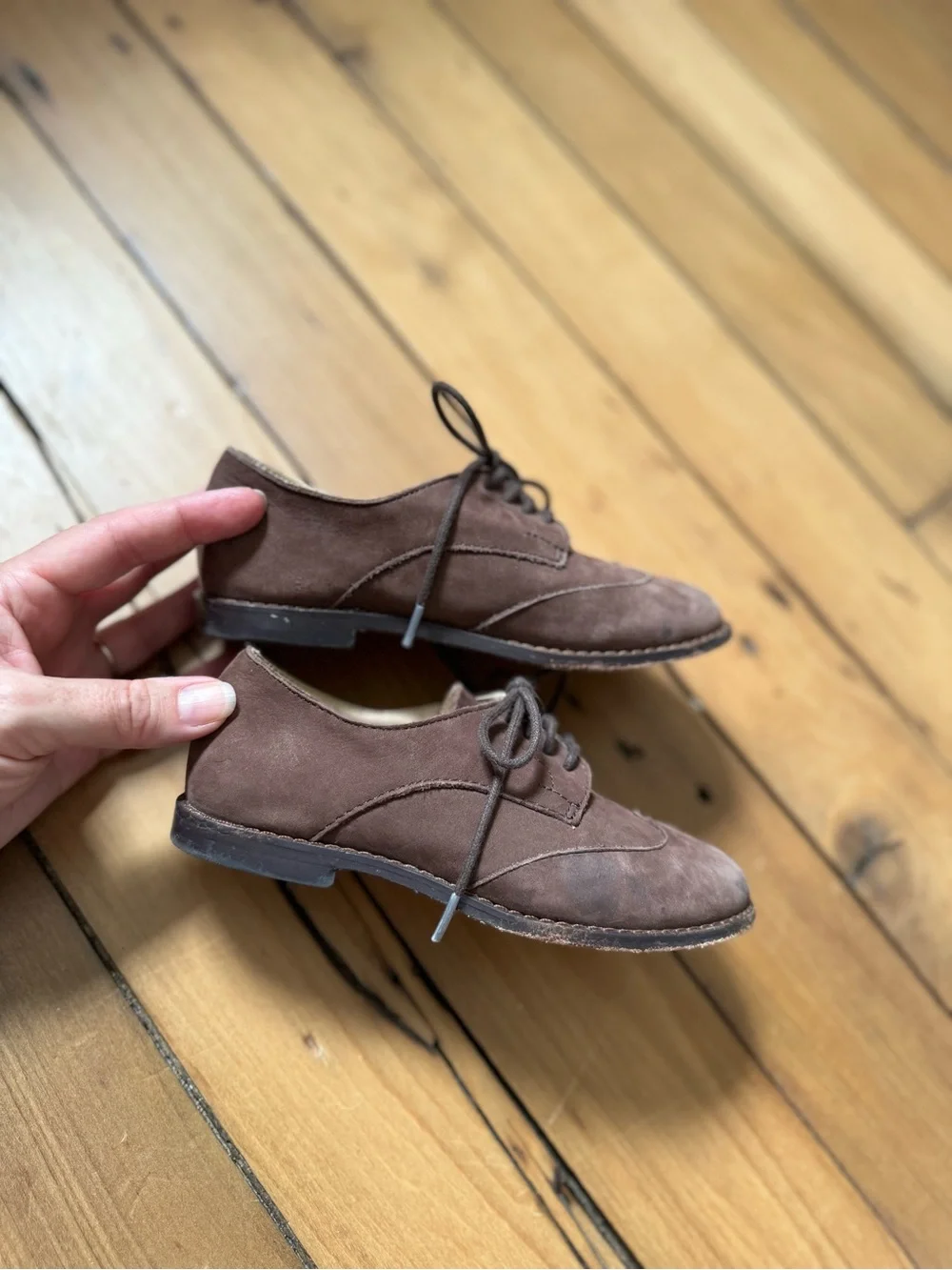 Janie and Jack Brown Suede Wingtip Lace-Up Kids Dress Shoes